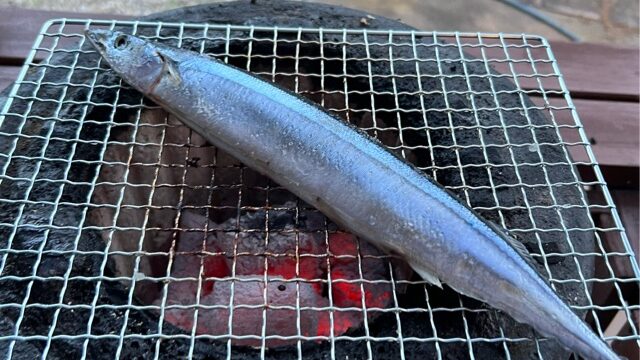 七輪の網の上の秋刀魚