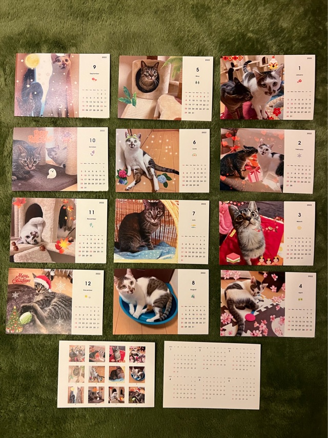 カレンダーを全種類並べた写真